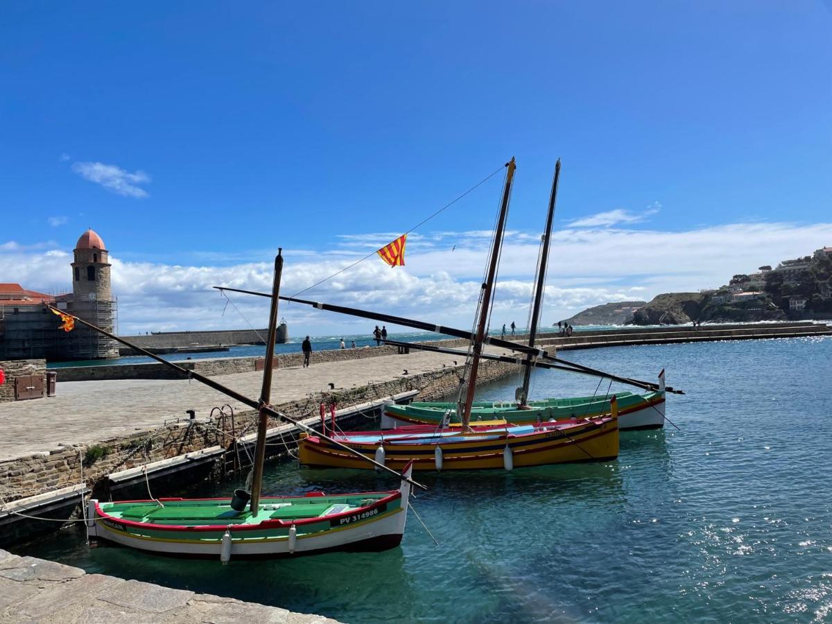 شقة Charmant T2 Duplex Climatise Avec Terrasse, A Deux Pas De La Plage Du Port D'Avall, Collioure - Fr-1-309-233 المظهر الخارجي الصورة